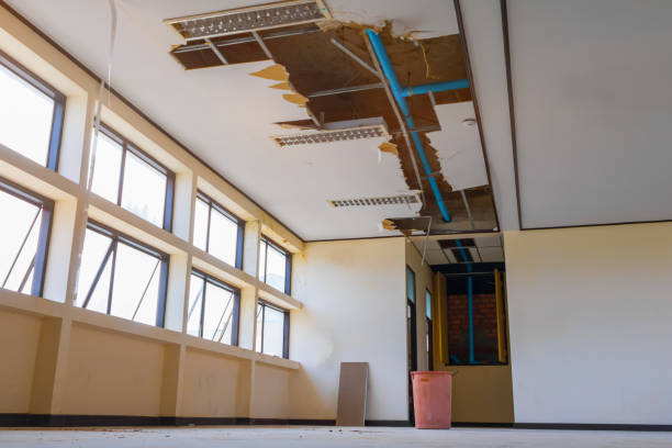 Best Water damage cleanup near me  in Waimalu, HI