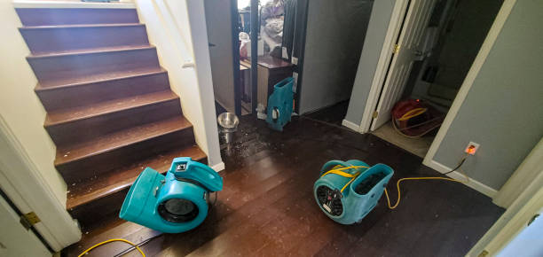 Best Ceiling water damage repair  in Waimalu, HI