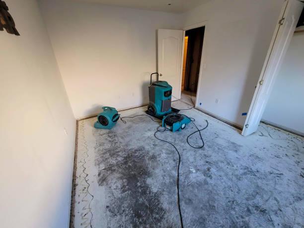 Best Carpet water damage restoration  in Waimalu, HI