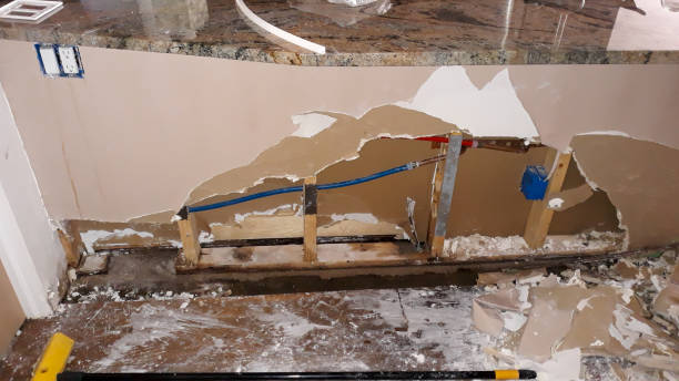 Best Ceiling water damage repair  in Waimalu, HI