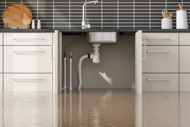 Best Flood restoration services  in Waimalu, HI